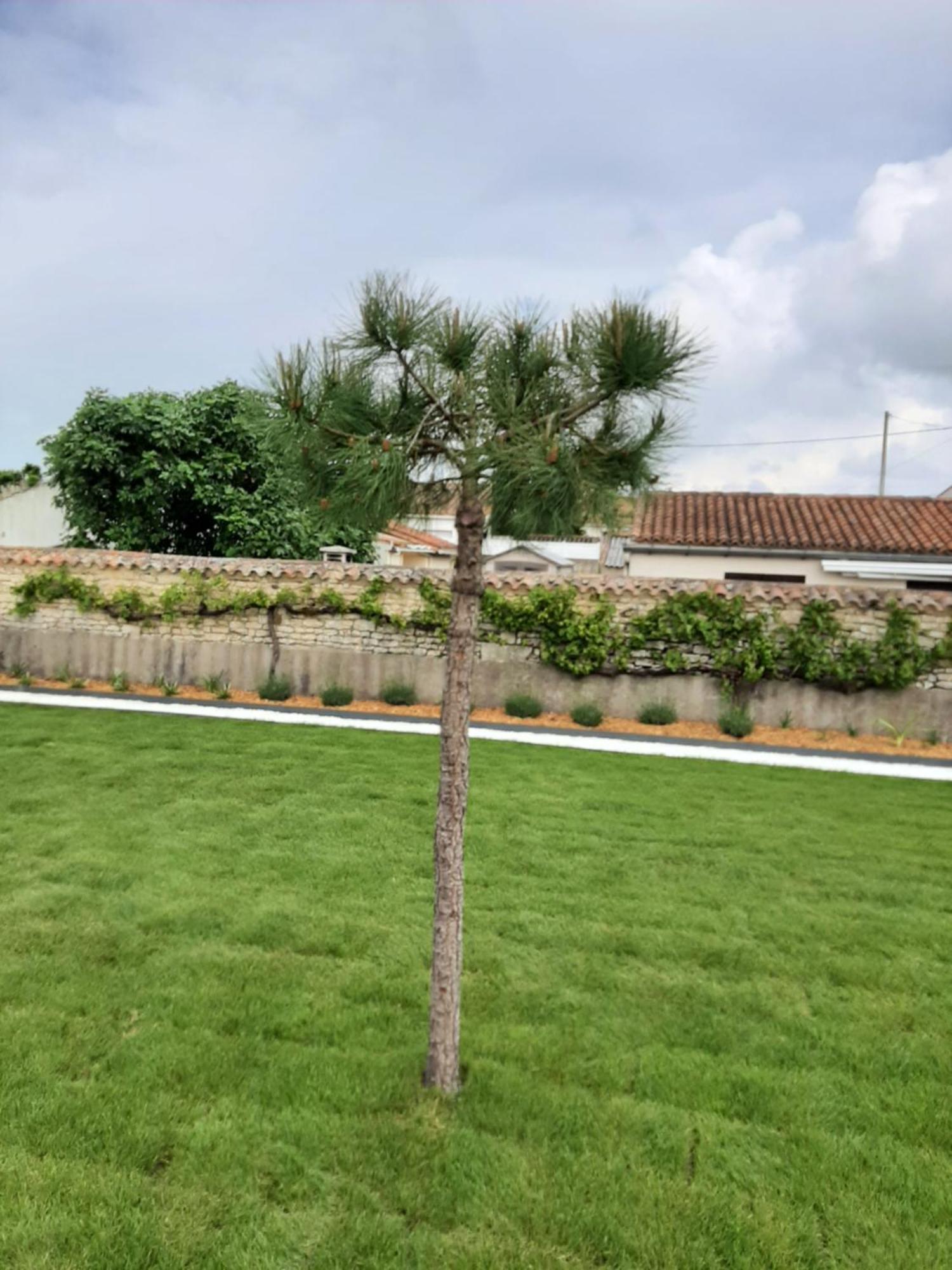 Le Lysblanc Bed & Breakfast L'Aiguillon-sur-Mer Bagian luar foto